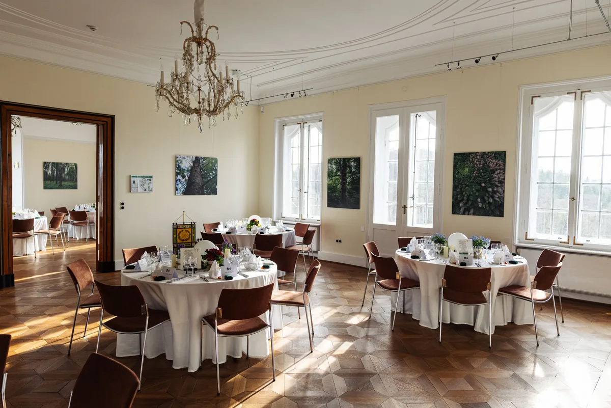 Saal mit eingedeckten runden Tischen, Kronleuchter und Baumfotografien zwischen hohen Fenstern, Licht auf dem Parkett