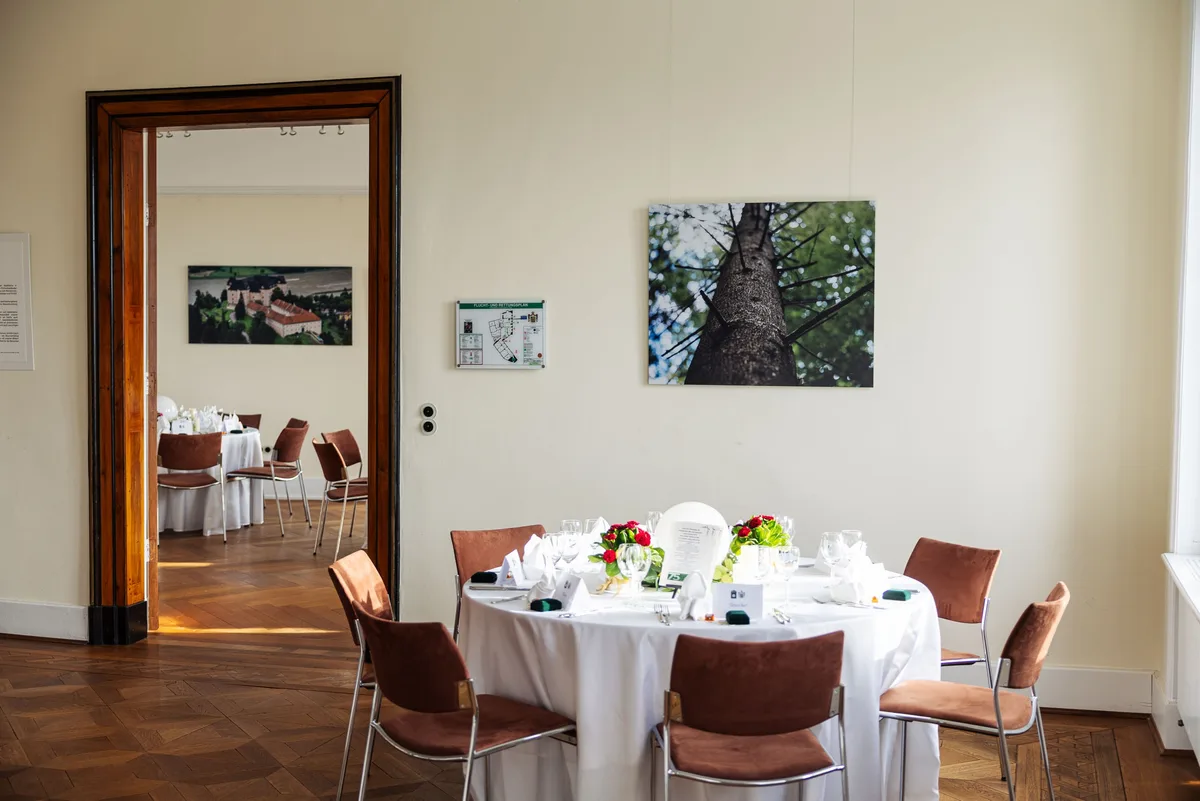 Runder Tisch im Vordergrund, an der Wand ein Foto eines Baumstamms von unten, im Nebenraum ein Luftbild des Schlosses