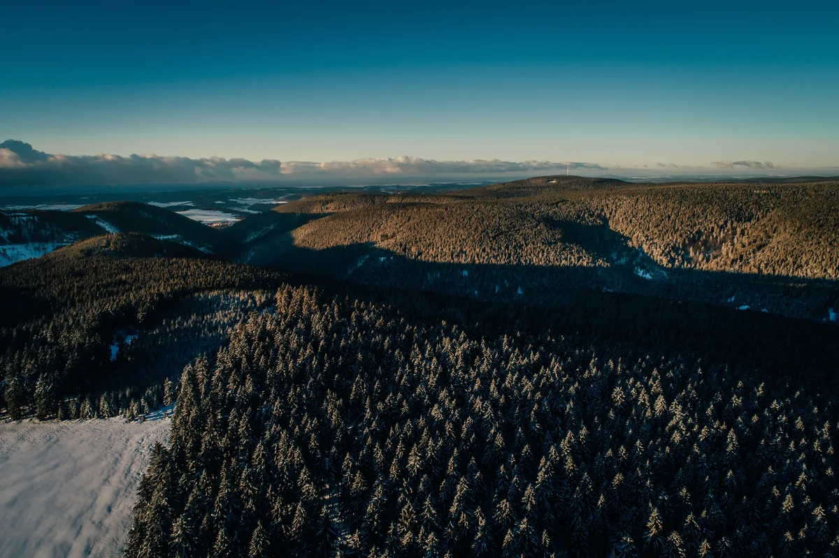 Luftbild bewaldeter Höhenzüge im Winter, vorn dichte Fichten mit Schneeauflage, am Horizont ein Sendemast unter klarem Himmel