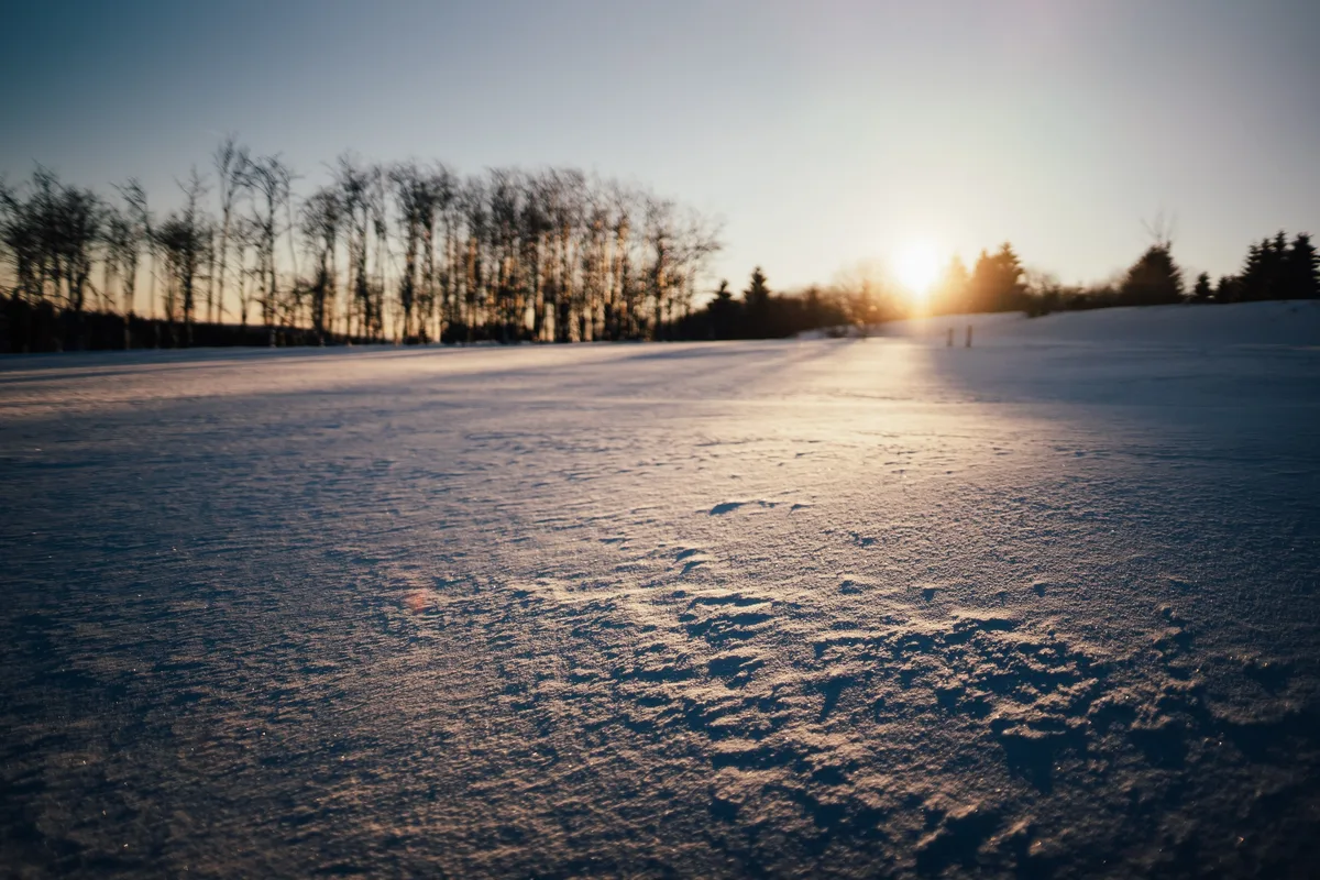 Tiefer Blick über verwehten Schnee zur untergehenden Sonne, am Rand der Fläche eine Reihe kahler Birken und dunkle Fichten
