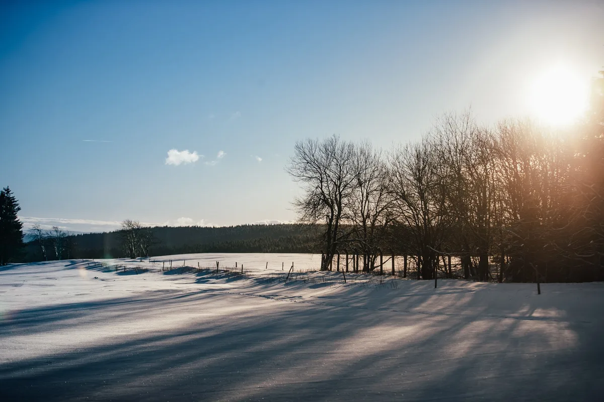 Verschneites Feld mit langen Schatten, rechts kahle Laubbäume im Gegenlicht, links ein Zaun und ein Streifen dunkler Wald