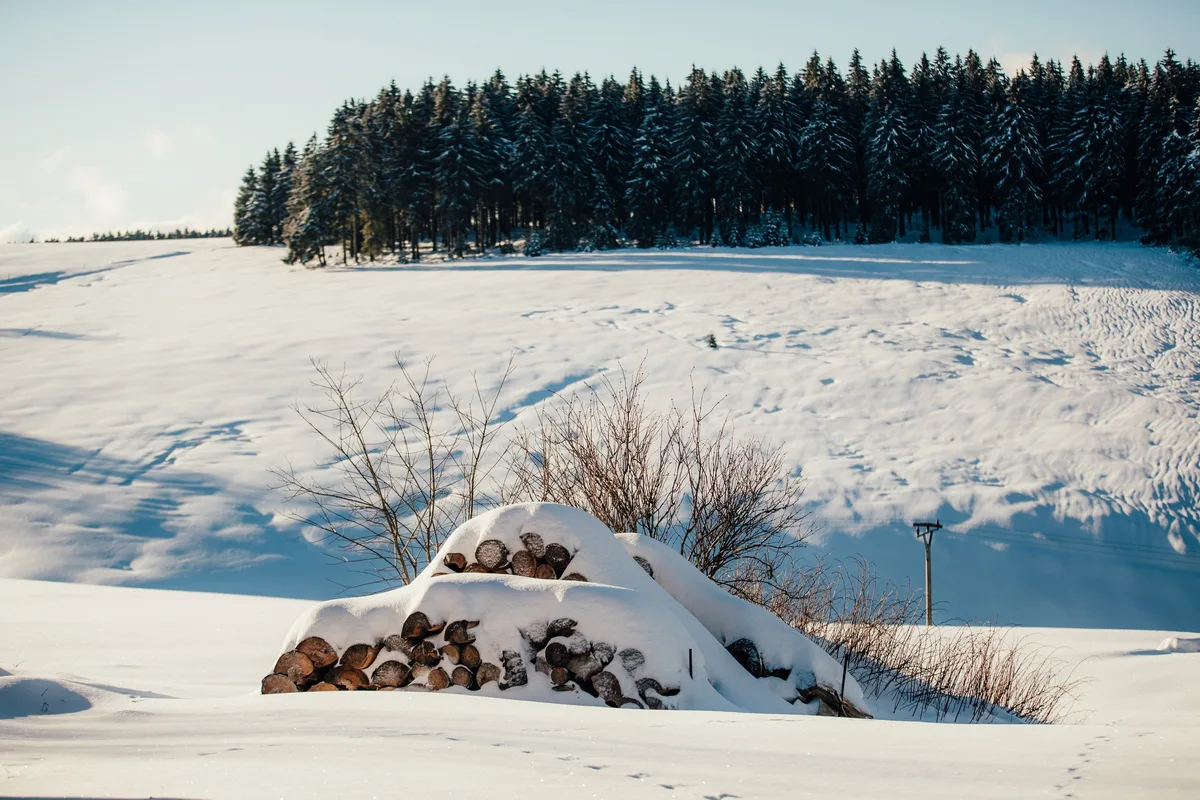 Ein Holzstapel unter dicker Schneehaube vor einem verschneiten Hang, oben ein geschlossener Fichtenwald und ein Strommast
