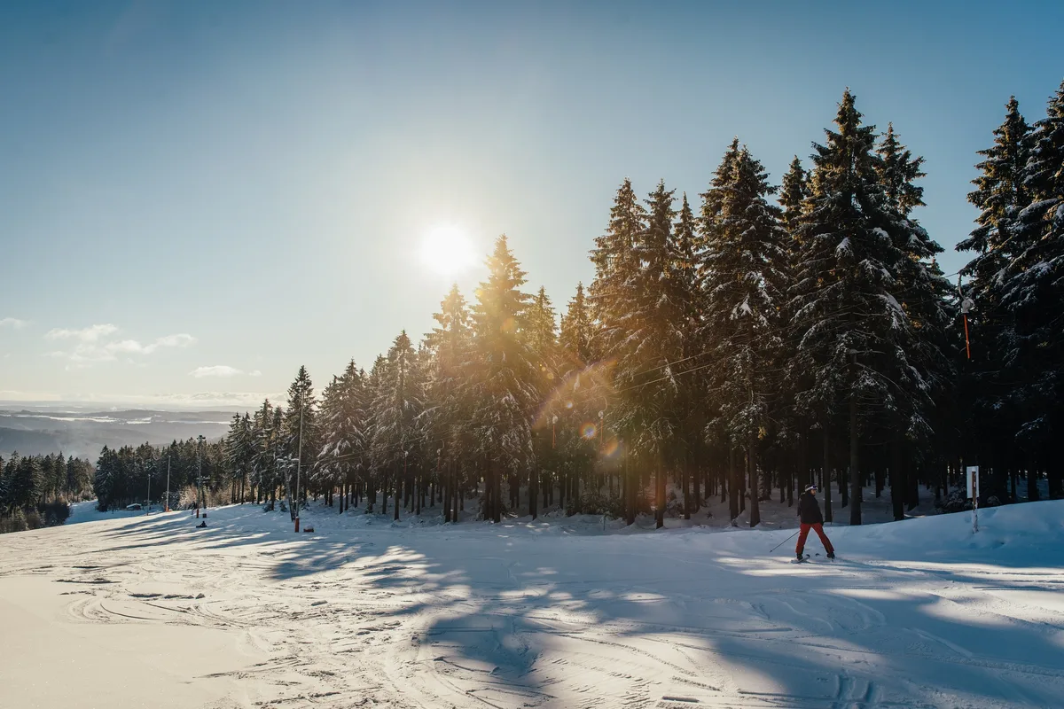 Ein Skifahrer in roter Hose quert eine präparierte Piste am Waldrand, hinter den verschneiten Fichten steht die Sonne