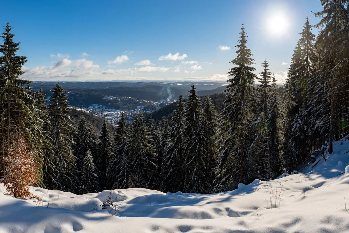 Blick von einer verschneiten Kuppe zwischen Fichten auf eine Stadt im Tal, aus dem Ort steigt Rauch, rechts steht die Sonne