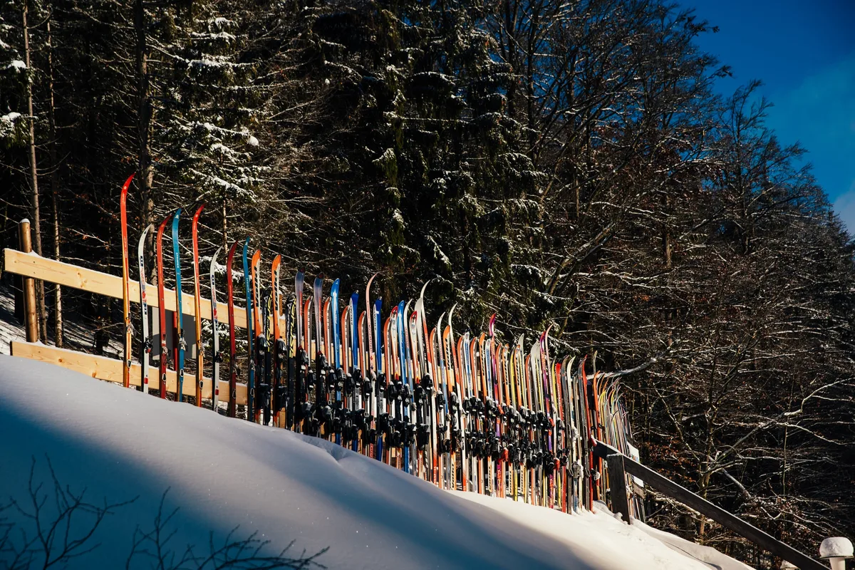 Aufgereihte Ski in Rot, Blau und Orange lehnen senkrecht an einem Holzzaun am Waldrand, davor eine Schneekante im Schatten