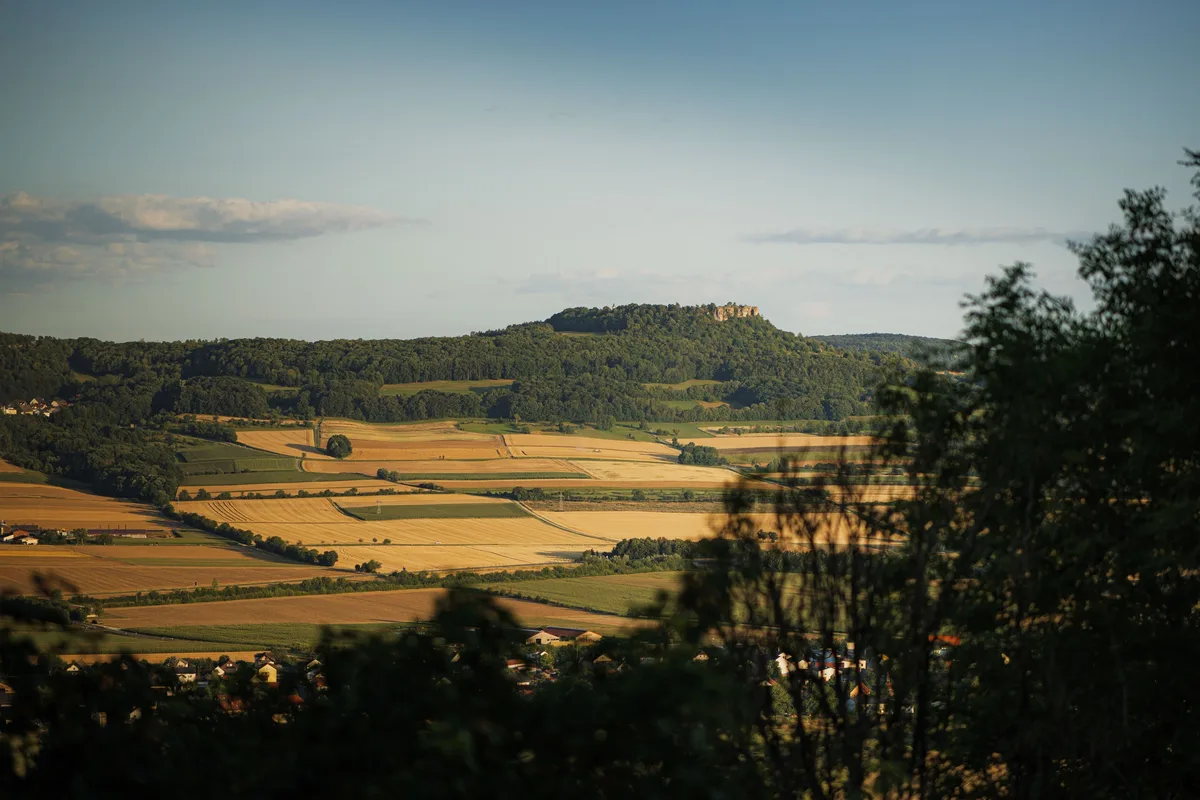 Goldgelbe Felder und ein bewaldeter Hügel mit einem Felsplateau im Abendlicht, vorn dunkles Laub am Bildrand